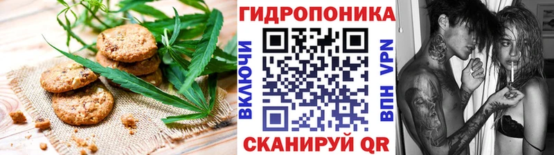 хочу   OMG как войти  Еда ТГК конопля  Туран 